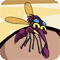 Little Mosquito Preview
